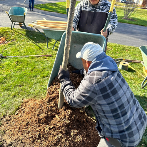 Plant installation