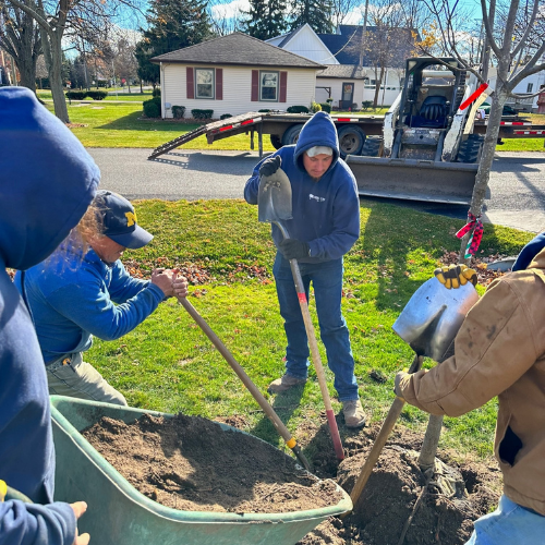 Plant installation