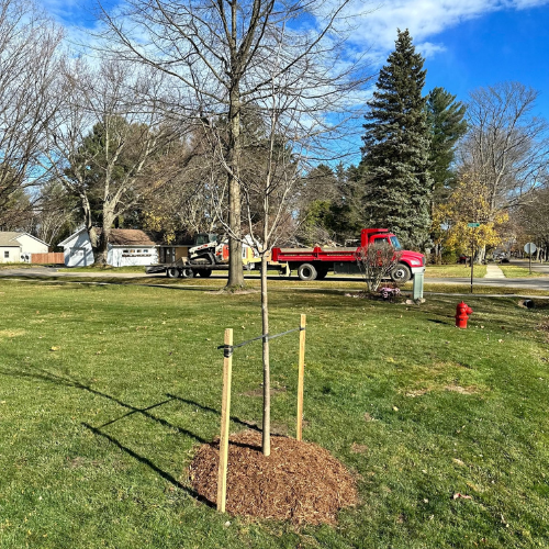 Plant installation