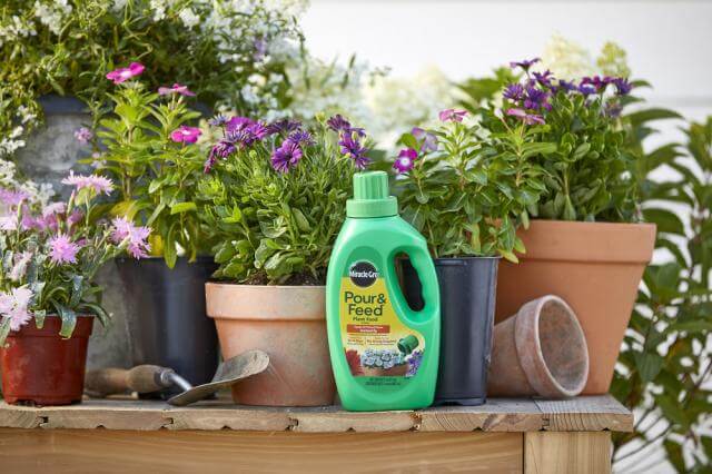 miracle gro indoor liquid plant food Miracle-Gro® Pour & Feed Plant Food - Almont, MI