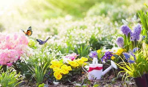 How to Prepare Your Garden in Spring for a Great Summer