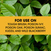 Roundup® Poison Ivy Plus Tough Brush Killer