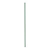 Sturdy Plant Stake, Heavy-Duty, Plastic-Coated Steel, 6-Ft.