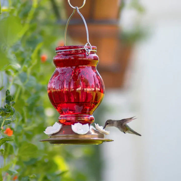 Nature's Way Bird Products Ruby Visions Antique Glass Gravity Hummingbird Feeder