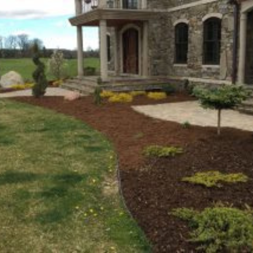 American Tree, Inc. landscaping