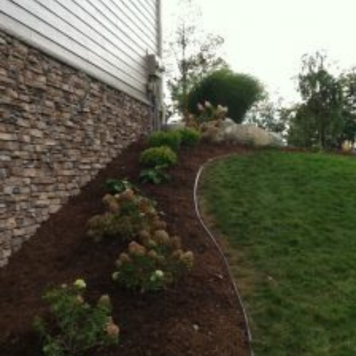 American Tree, Inc. landscaping