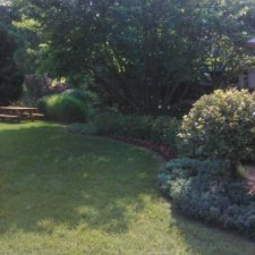 American Tree, Inc. landscaping