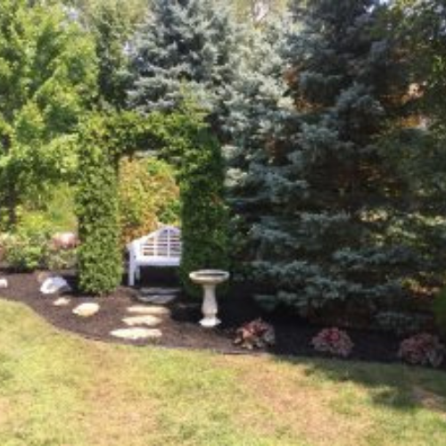 American Tree, Inc. landscaping