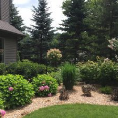 American Tree, Inc. landscaping