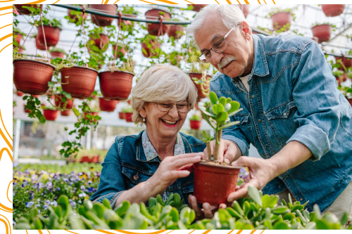 Older couple gardening