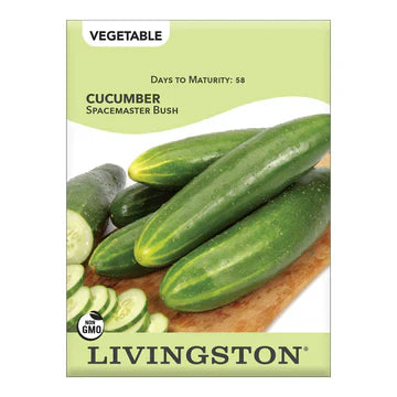 Livingston Cucumber Spacemaster (Bush Type O.P.)