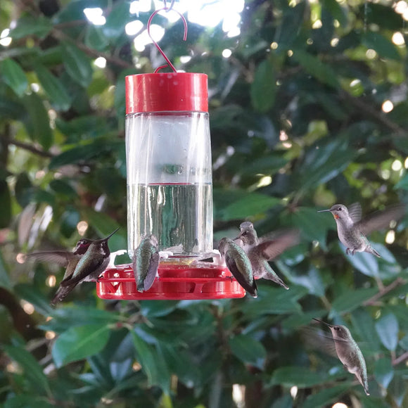 Nature's Way Bird Products Scarlet Swirl Gravity Hummingbird Feeder