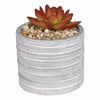 Alpine Succulent Flower Pot