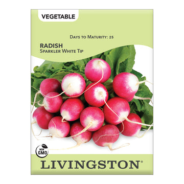 Livingston  Radish Sparkler White Tip