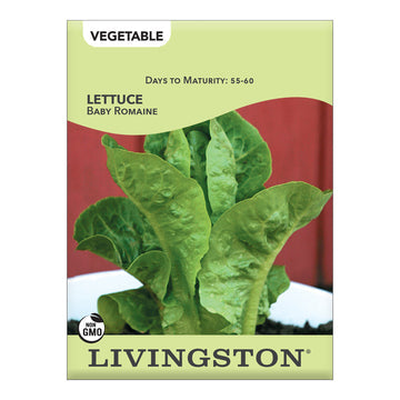 Livingston Lettuce Baby Romaine