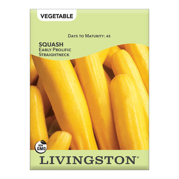 Livingston Squash Early Prolific Straightneck