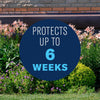 BioAdvanced Shrub Care Protect & Feed Granules