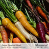 Botanical Interests Carnival Blend Carrot Seeds