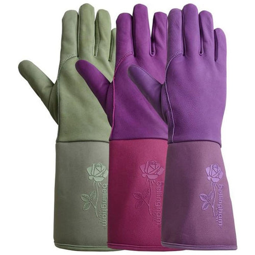 Bellingham® Tuscany™ Gauntlet Gloves (Purple)