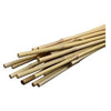 Bamboo Plant Stakes, 2-Ft., 12-Pk.