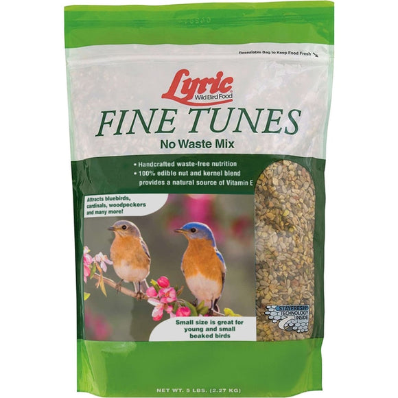 LYRIC FINE TUNES NO WASTE WILD BIRD MIX